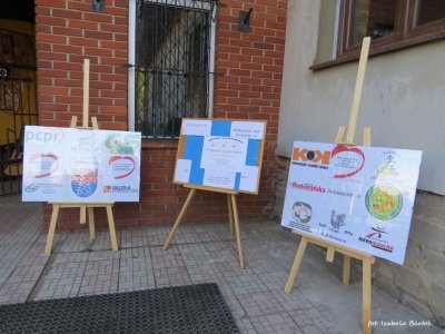 normal_b99beec0de697c90fac3408278a12e98.-jpg