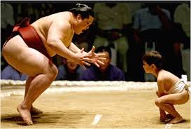 sumo