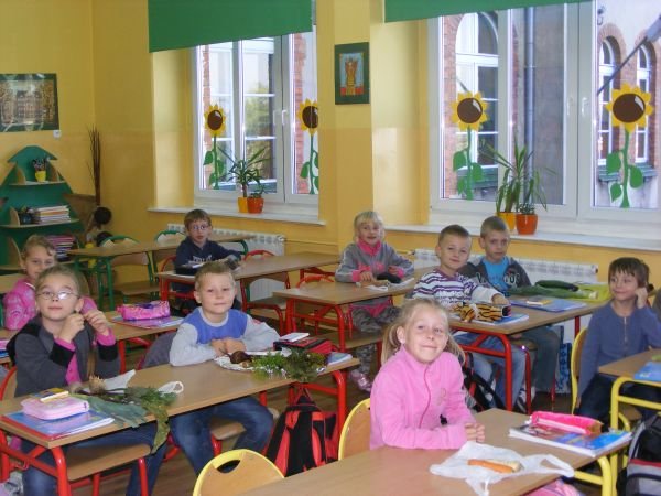 szkola 010