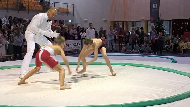 WP_20161211_12_22_16_Pro