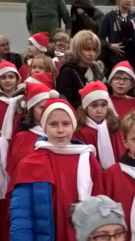 WP_20161211_15_05_38_Pro (2)